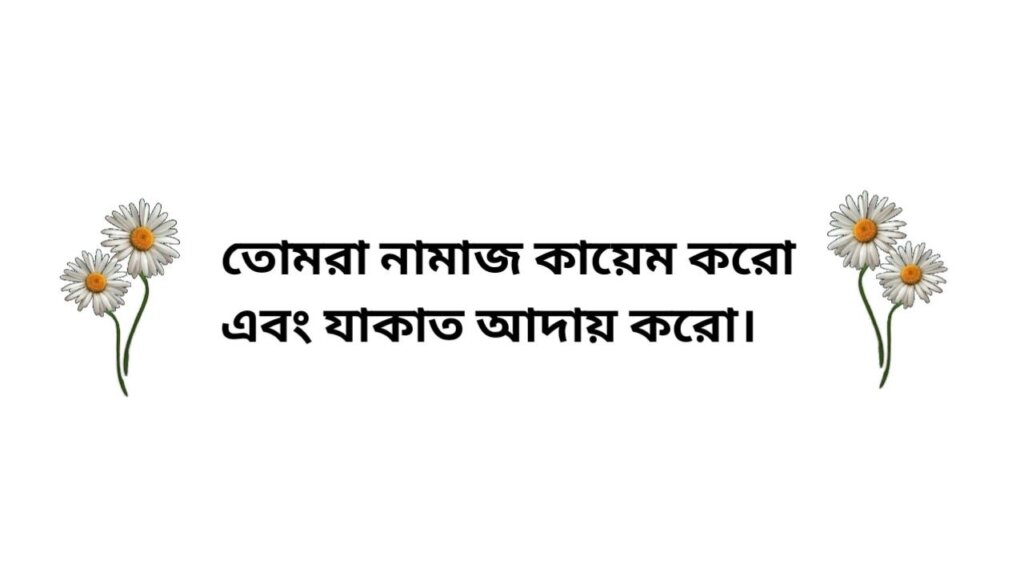 ইসলামিক উক্তি
